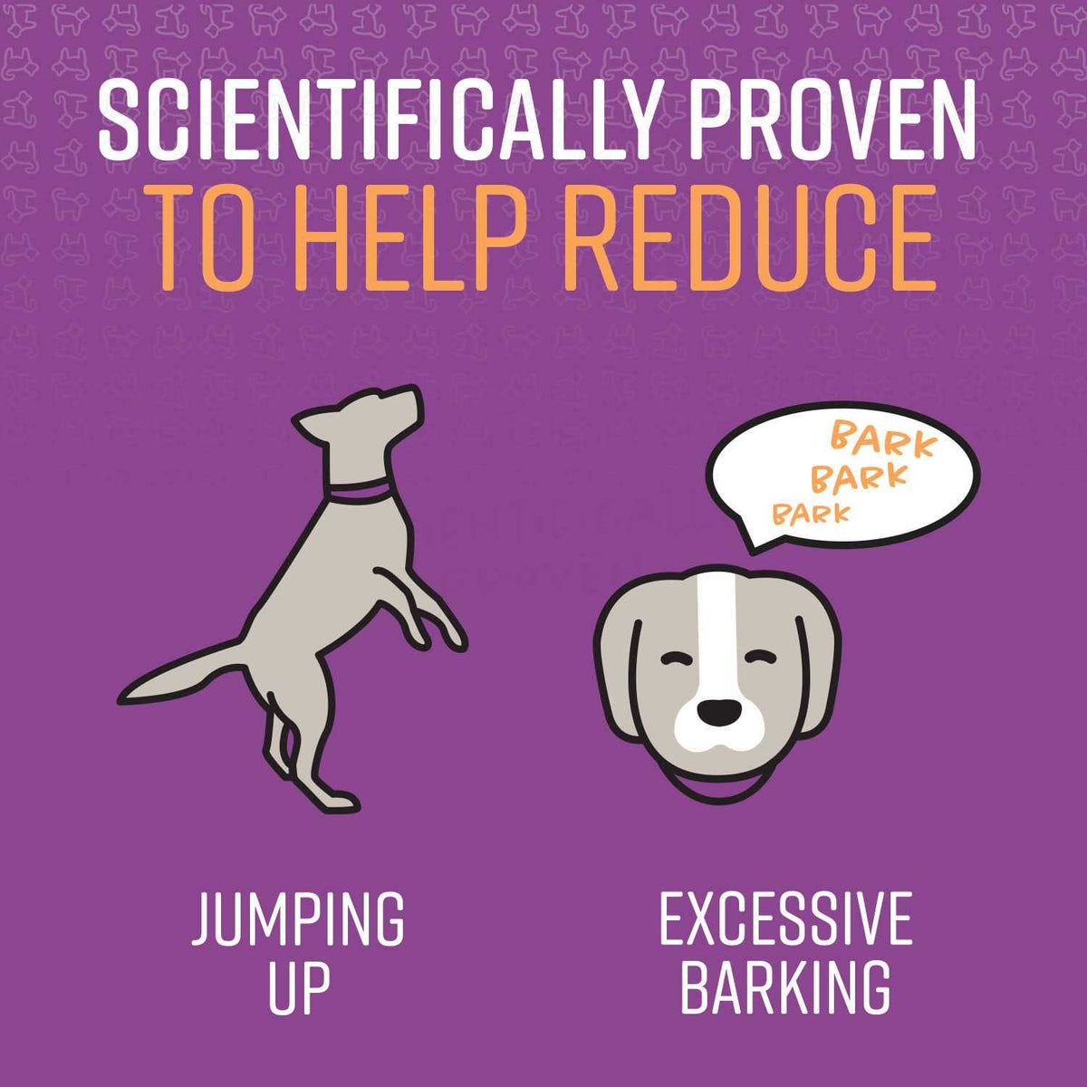 Behavior Correction Spray for Dogs T21691
