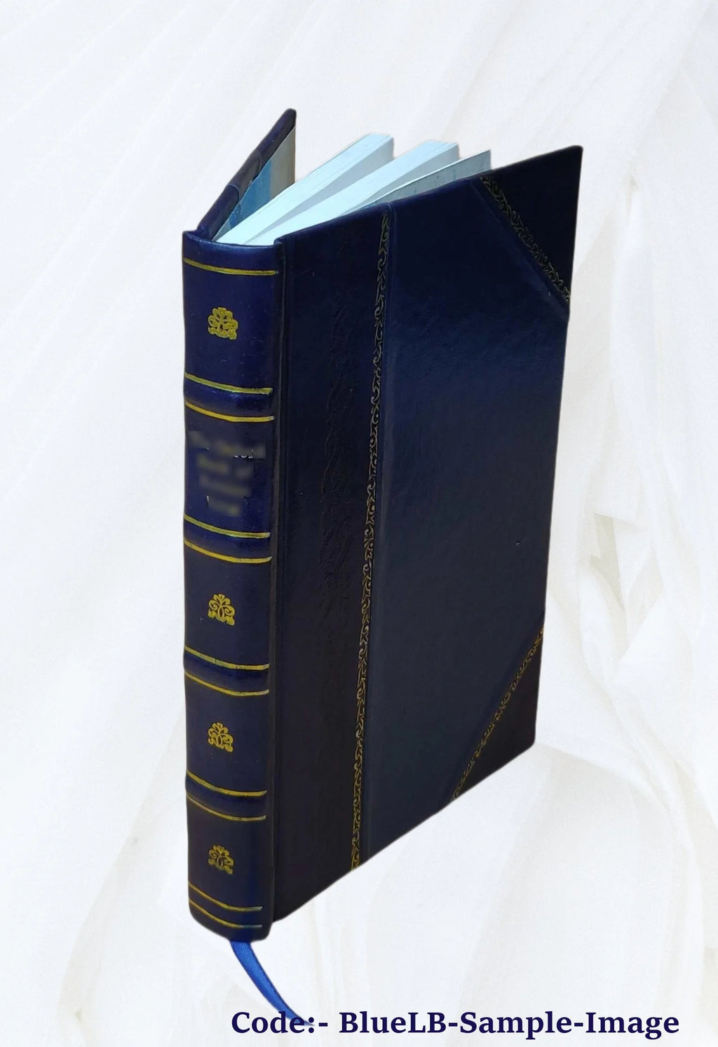 Leather Bound Book C372468