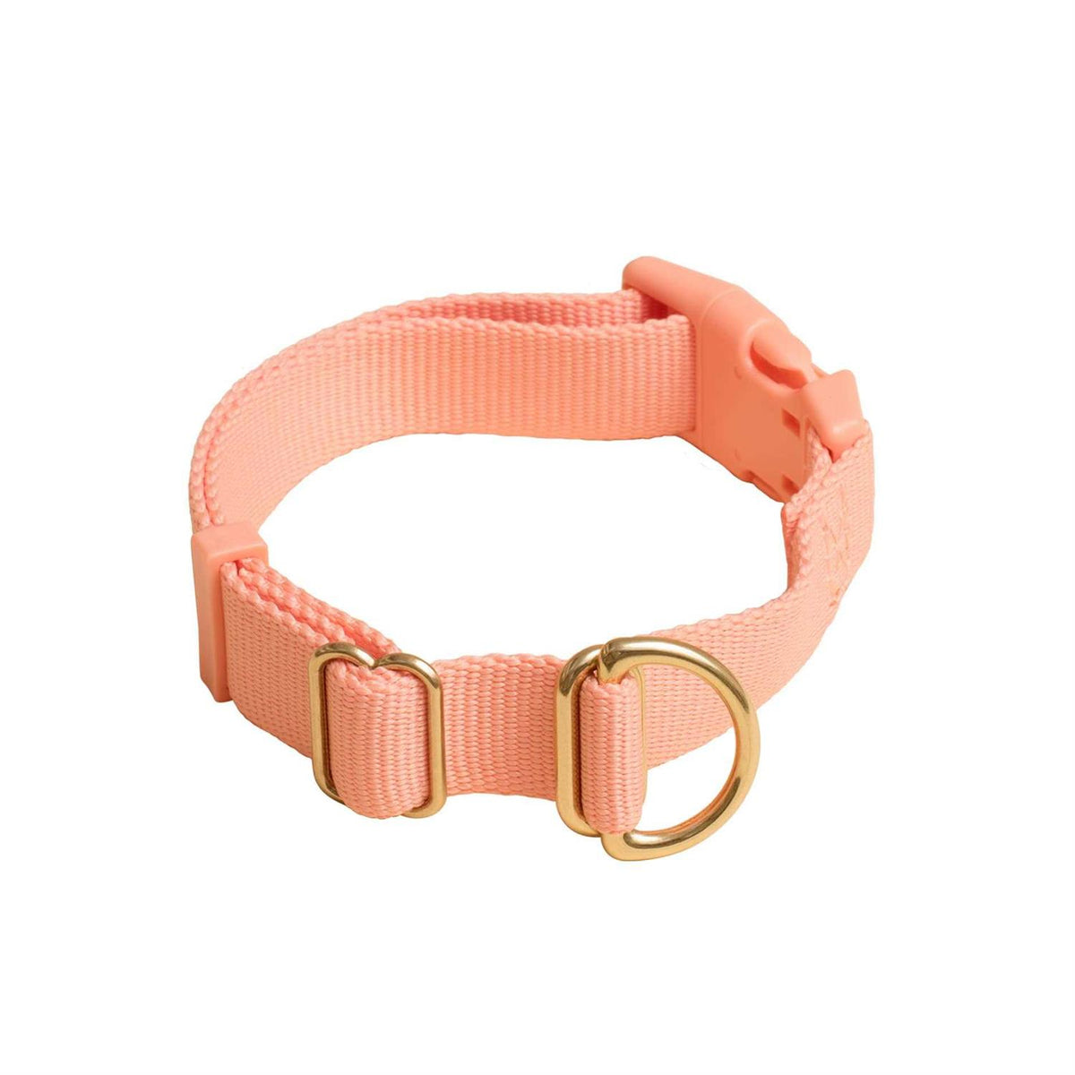 Standard Dog Collar I3672