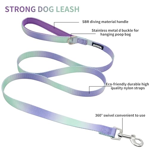 Pink-Purple Gradient Step in Dog Harness with Leash B83900