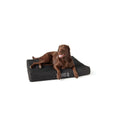 Orthopedic Dog Bed Y1282
