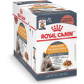 3 oz Chunks in Gravy Pouch Cat Food W18444