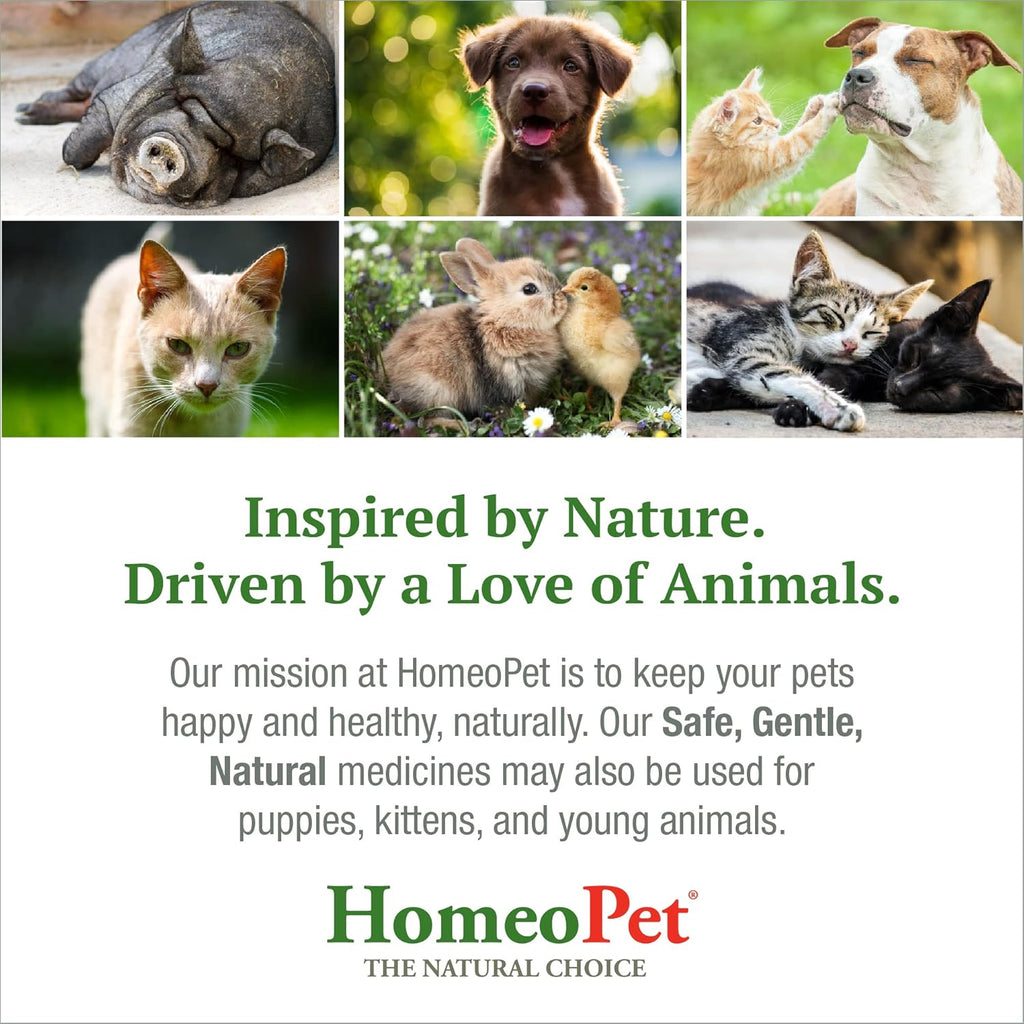 15 Milliliters Natural Pet Digestive Support S72223