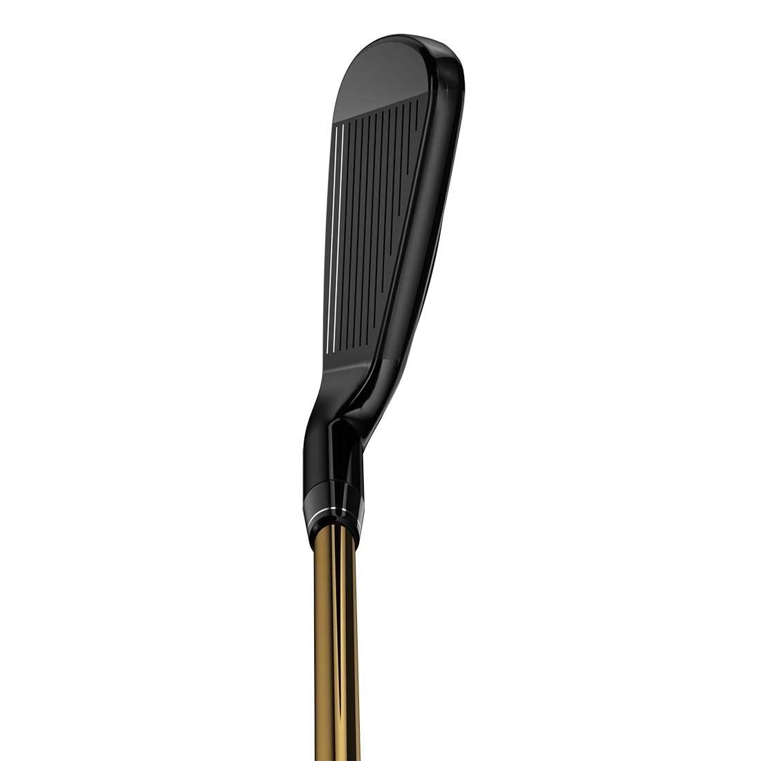 Forged Iron R419323