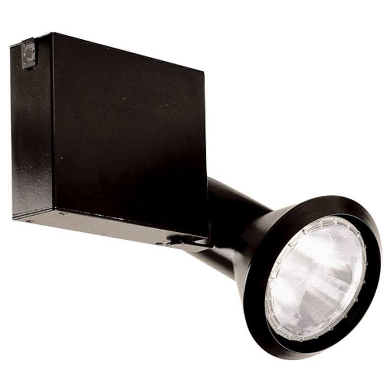 Black Line Voltage Metal Halide PAR30 Fixture R95079