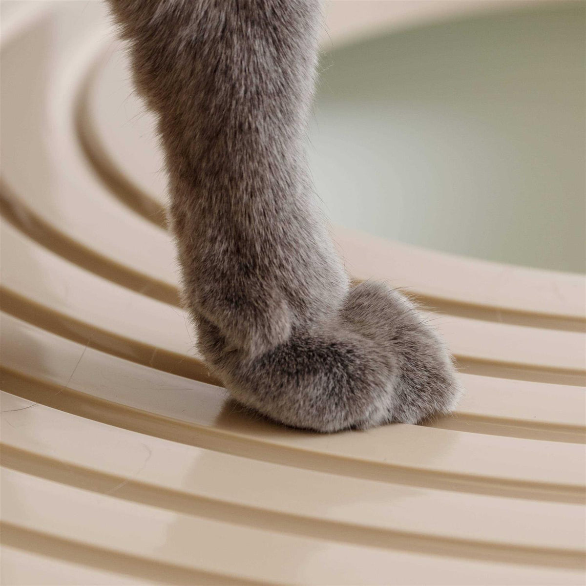 Top Entry Cat Litter Box with Scoop P7326