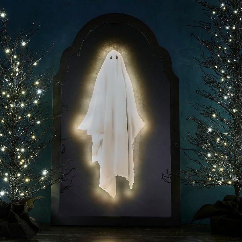 Holographic Ghost Mirror D1604