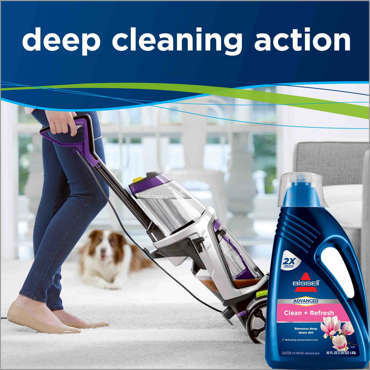 Carpet & Rug Cleaners 62 Fluid Ounce R968345