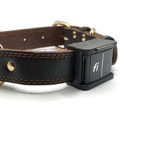 GPS Tracker T66109