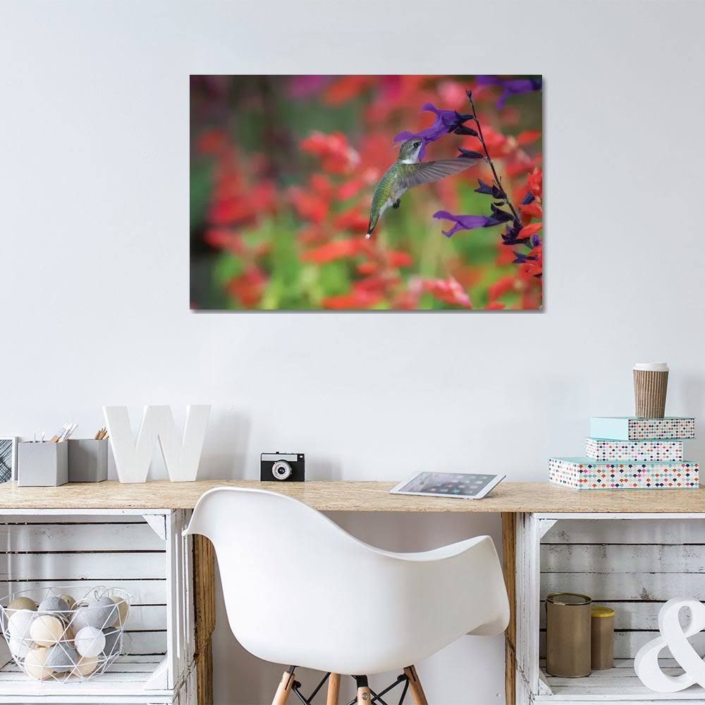 Canvas Prints D714