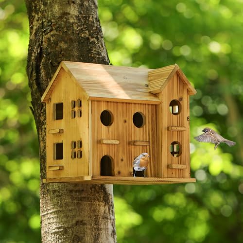 10 Hole Hanging Birdhouse Kit P4917