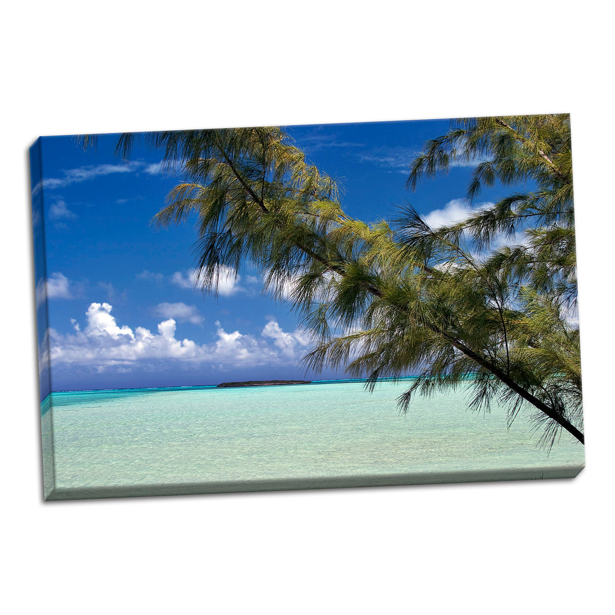 36x24in Hand-Stretched Canvas G7593