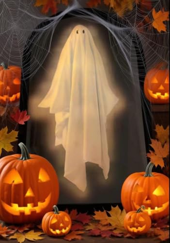 Holographic Ghost Mirror D1604