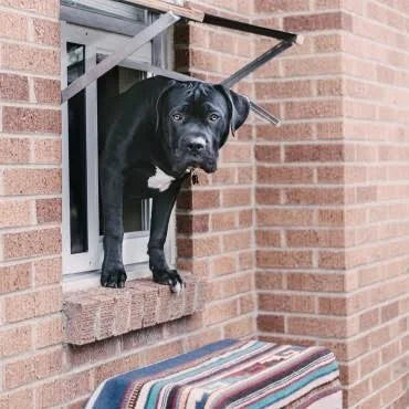 Bronze Large Pet Door R985