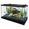 10 Gallon Glass LED Aquarium Kit D286464