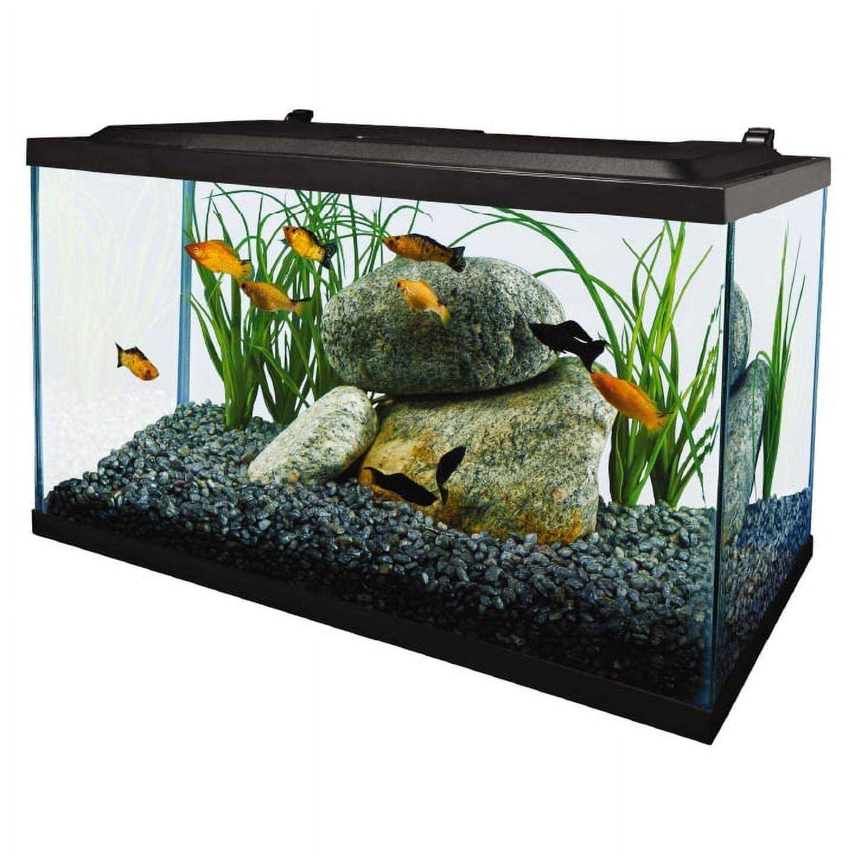 10 Gallon Glass LED Aquarium Kit D286464