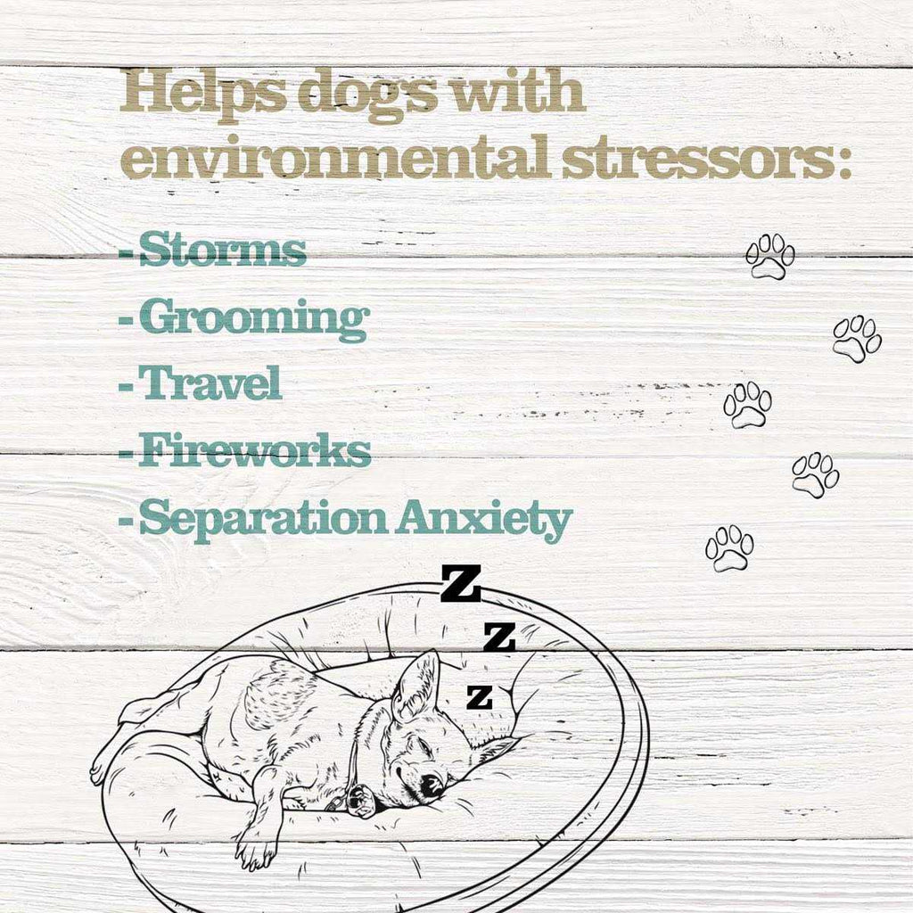 Calming Treats for Dogs F509452