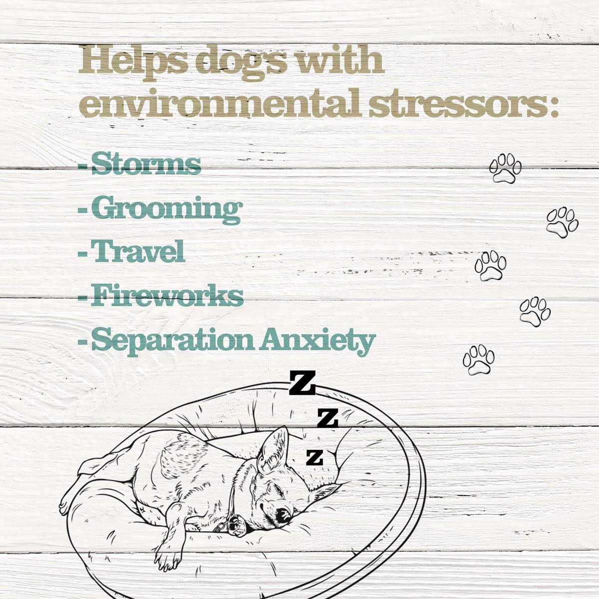 Calming Treats for Dogs F509452