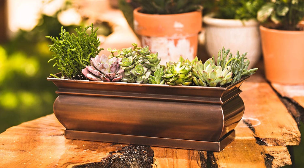 Rectangular Herb Planter Pots 16 x 6 x 5.75 Inches C403395