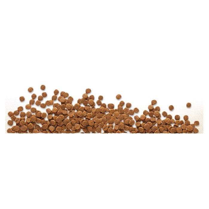 Grain Free Dry Dog Food O64674