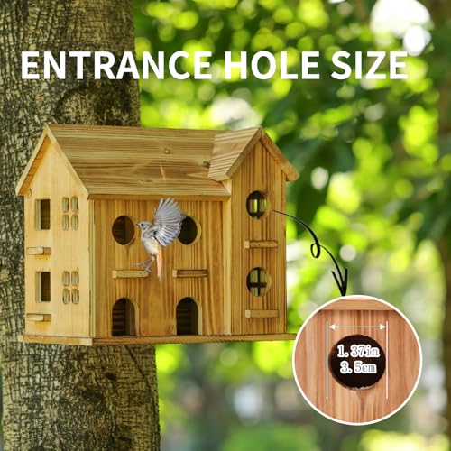 10 Hole Hanging Birdhouse Kit P4917