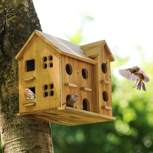 10 Hole Hanging Birdhouse Kit P4917