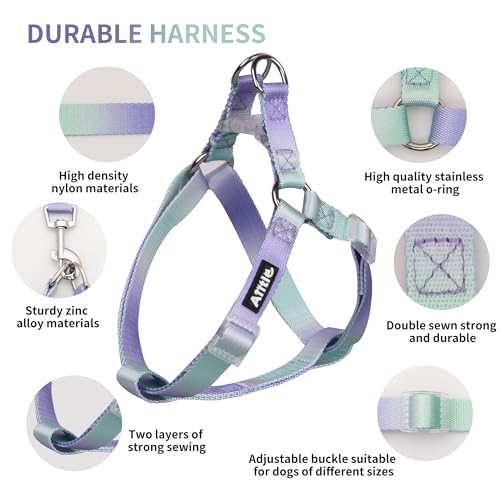 Pink-Purple Gradient Step in Dog Harness with Leash B83900