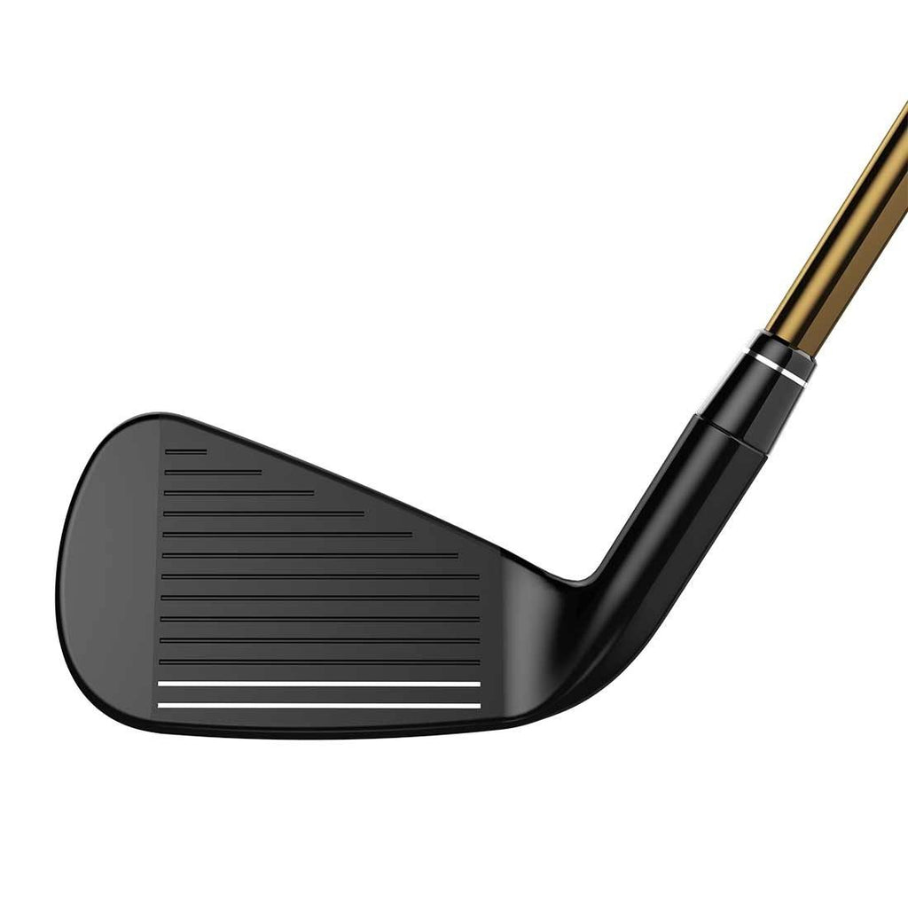 Forged Iron R419323