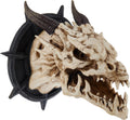 Horned Dragon Skull Wall Trophy F4516
