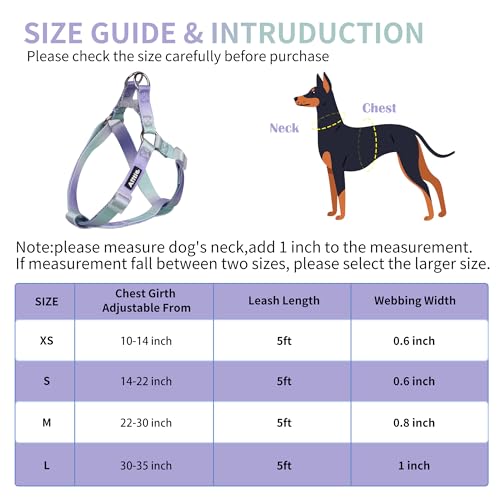 Pink-Purple Gradient Step in Dog Harness with Leash B83900