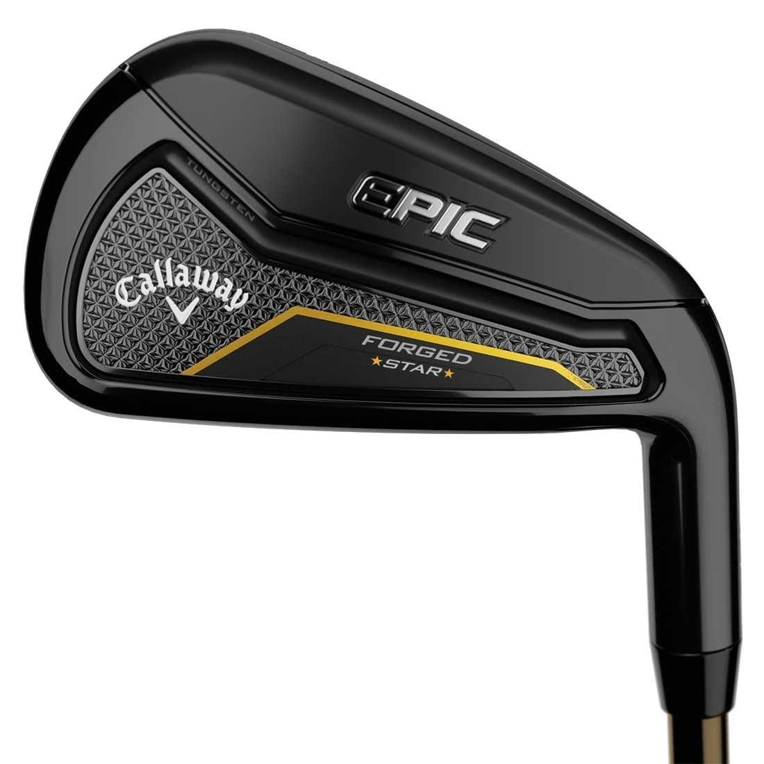 Forged Iron R419323