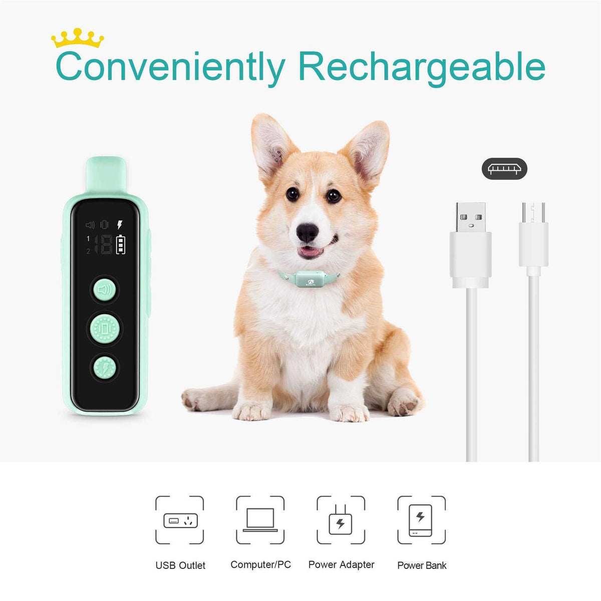 Waterproof Rechargeable Electric Dog Training Collar with Remote E99364