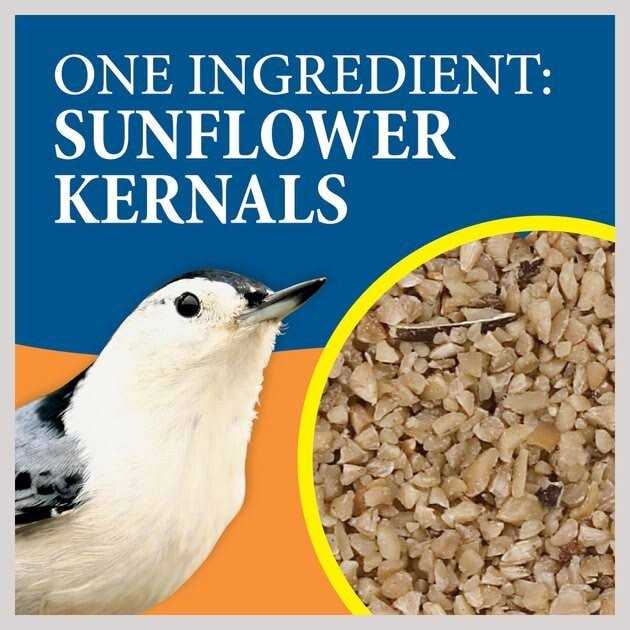 Fine Sunflower Chips N96588