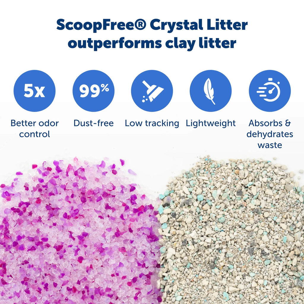 Lavender Scent Silica Crystals Cat Litter Trays 6-Pack G187593