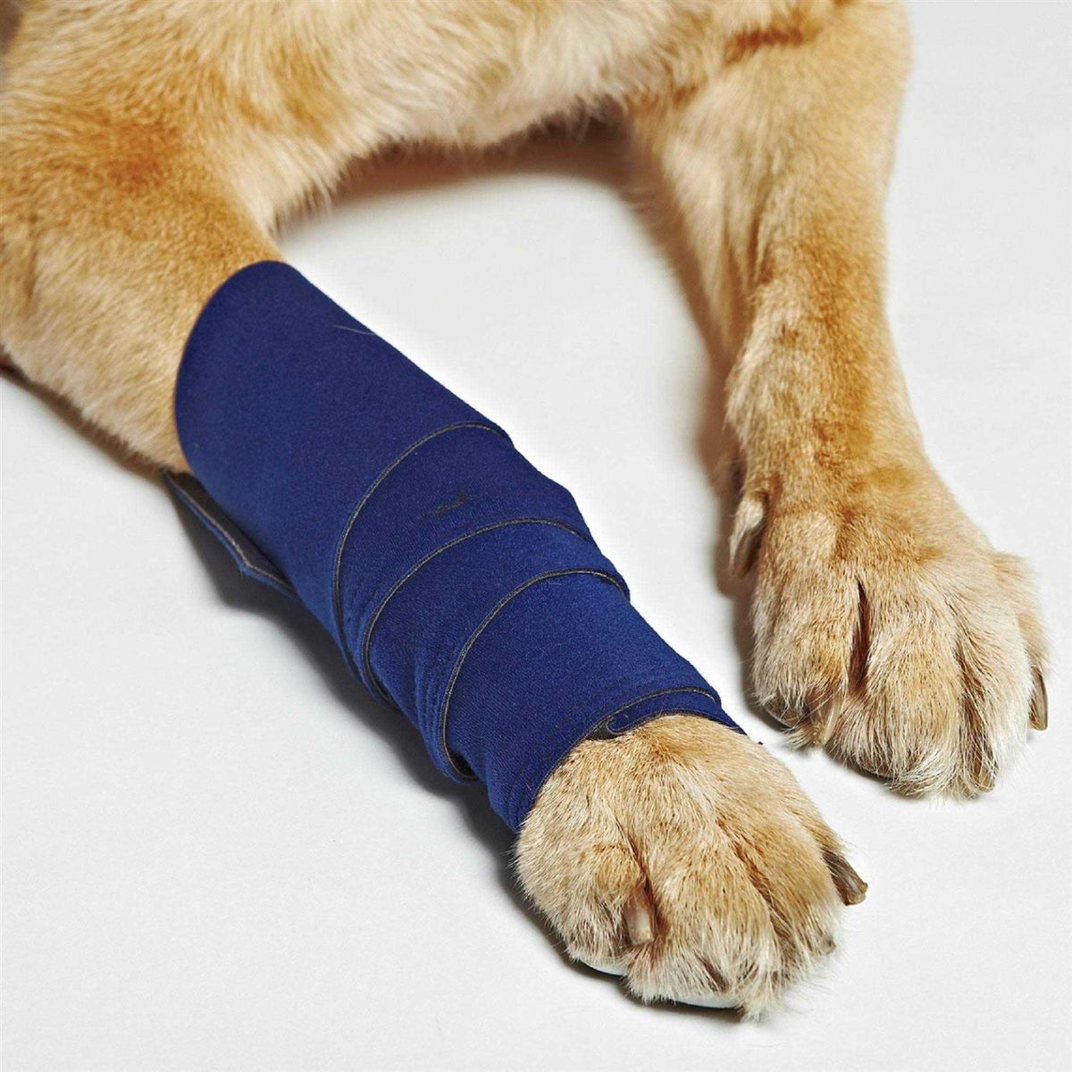 Dog Wraps Y355025