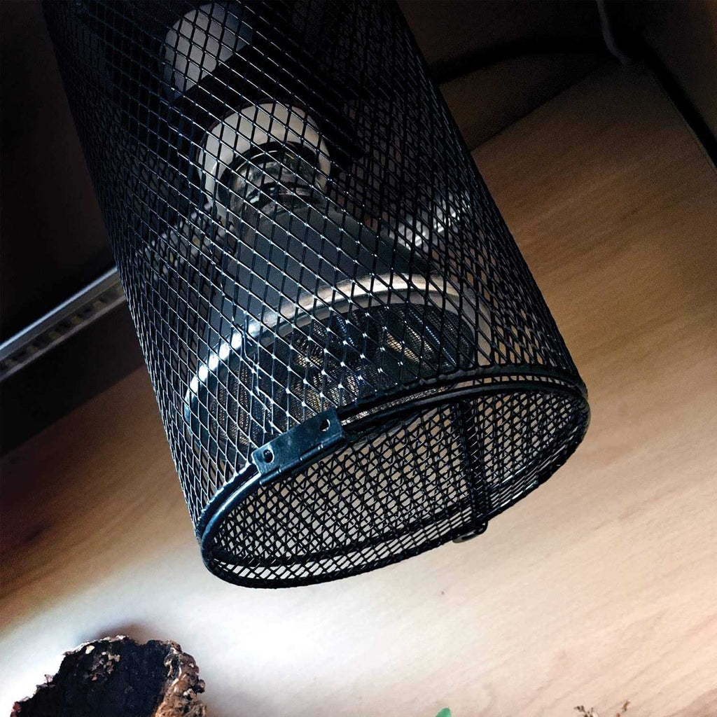Deep Heat Projector X552