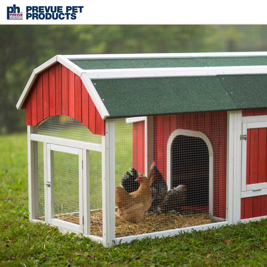 Red Barn Chicken Coop G9804