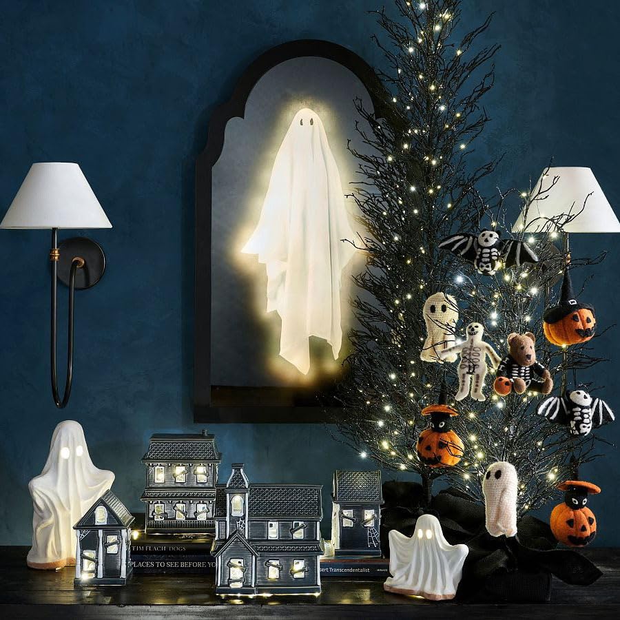 Holographic Ghost Mirror D1604