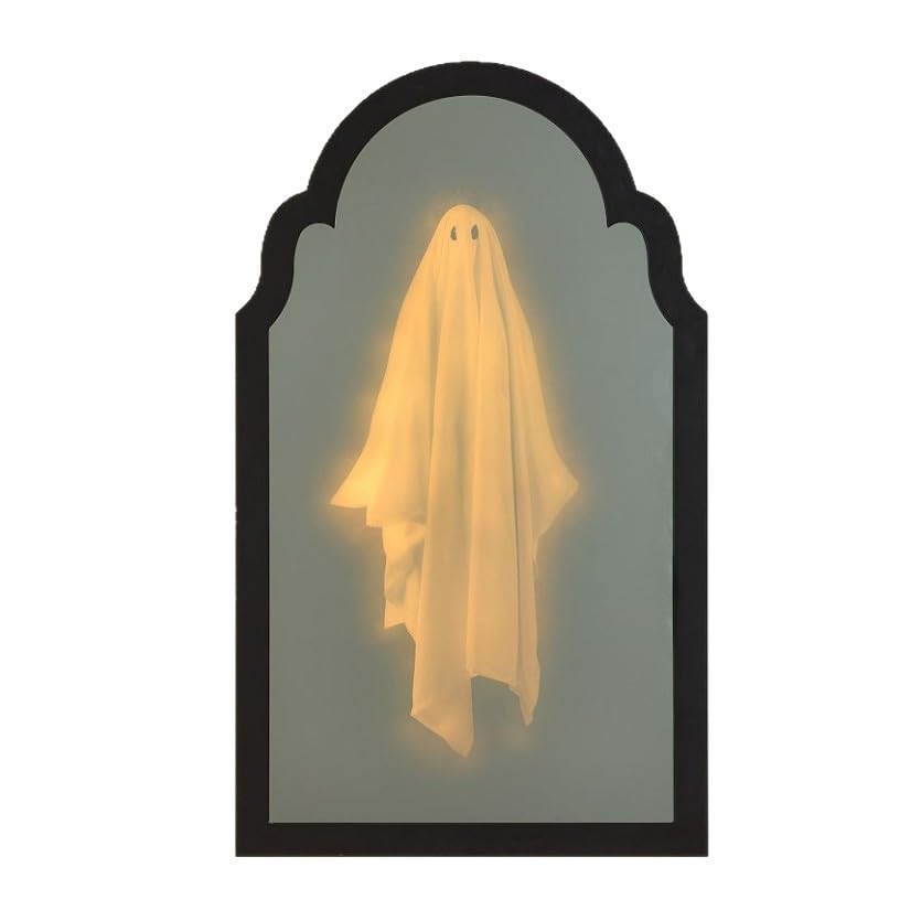 Holographic Ghost Mirror D1604