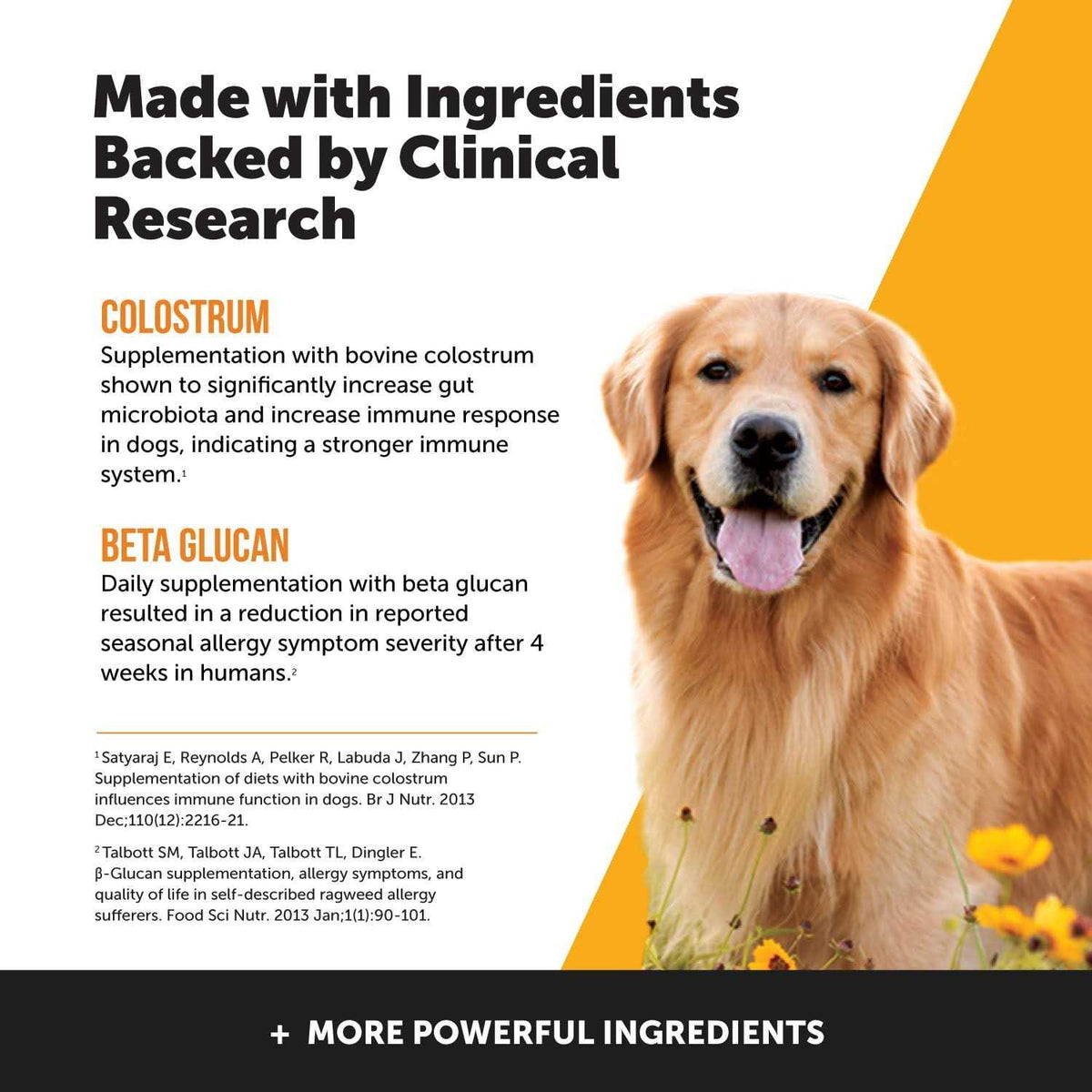Dog Allergy Support Supplement with Probiotics Omegas and Zinc N490276