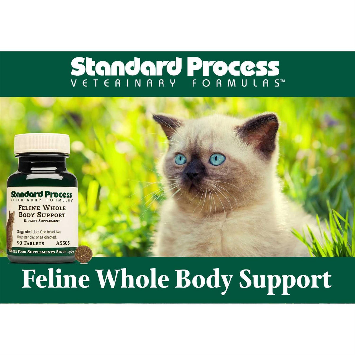 Whole Body Support U7463