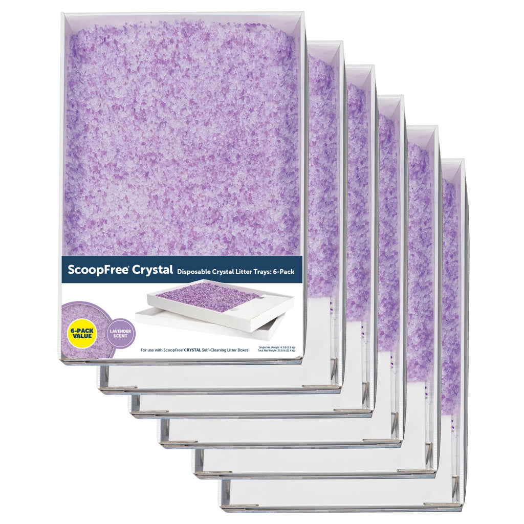 Lavender Scent Silica Crystals Cat Litter Trays 6-Pack G187593
