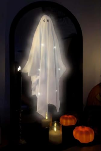 Holographic Ghost Mirror D1604