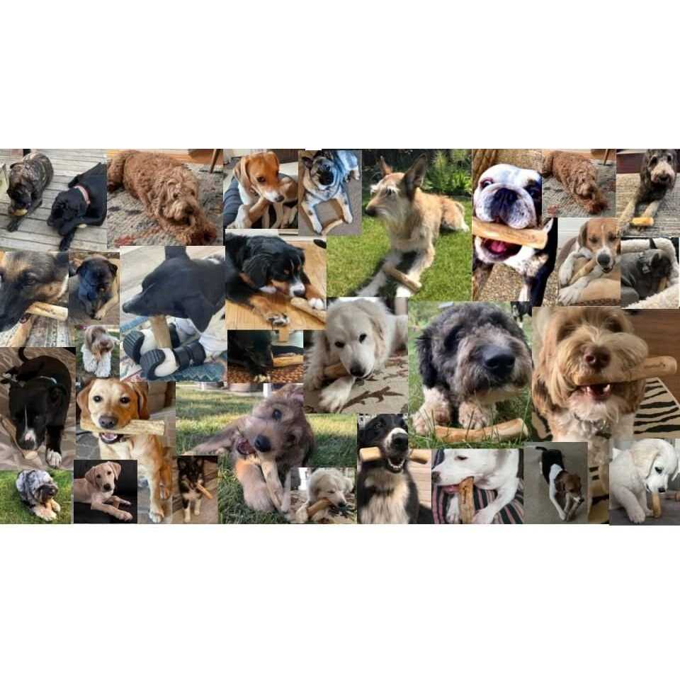 Dog Chew Toys Coffee Wood L689