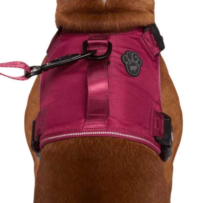 Complete Control Dog Harness J779758