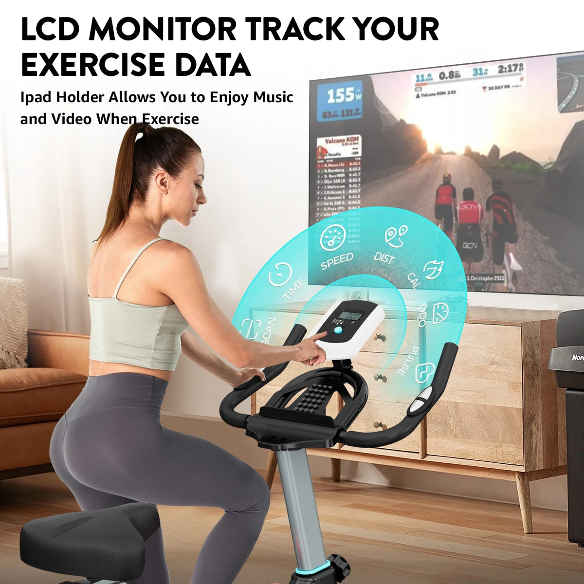 Indoor Cycling Bike Magnetic Stationary Exercise Bike 40lbs Flywheel N159