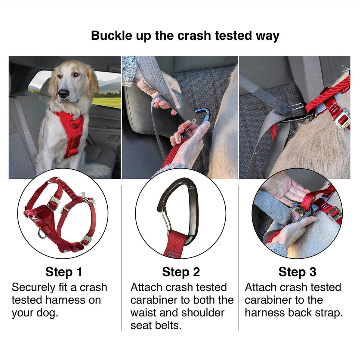 Dog Harness Q69530