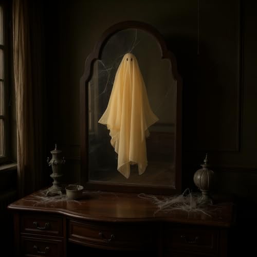 Holographic Ghost Mirror D1604