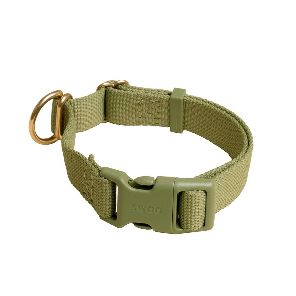Standard Dog Collar I3672