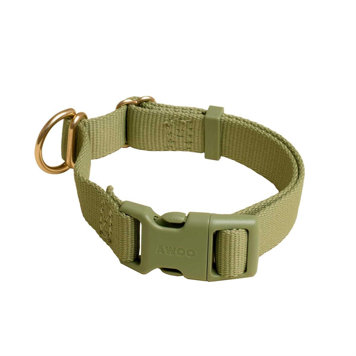 Standard Dog Collar I3672
